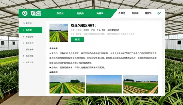 青岛网站制作，供求信息精准对接新路径