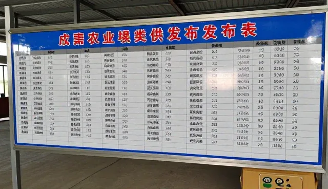 酒店网站设计公司：应用场景中的信息展示与体验优化